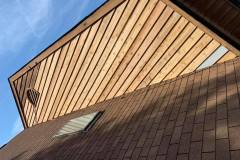 117891563_116708160140625_5150377146579628372_n