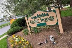 118139713_116708033473971_1372734437231742310_n