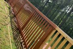 117953586_116708000140641_333920025714527056_n